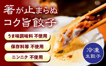 元祖 「尾張名物とり餃子」 90個 / 餃子 ニンニク不使用 冷凍 ギョーザ 生餃子 おつまみ / 稲沢市 / 平飼い自然卵歩荷 [BMBM006]