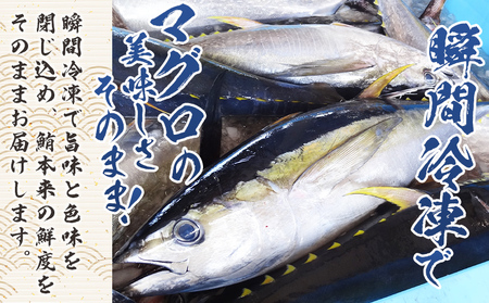 【6回定期便】まぐろ柵 5袋(500g以上) - 定期便 国産 刺身 ブロック 海鮮丼 漬け丼 煮物 生食 焼き物 鮪 マグロ 小分けパック 柵どり さく取り 海鮮 新鮮 魚介 産地直送 龍馬の海鮮隊