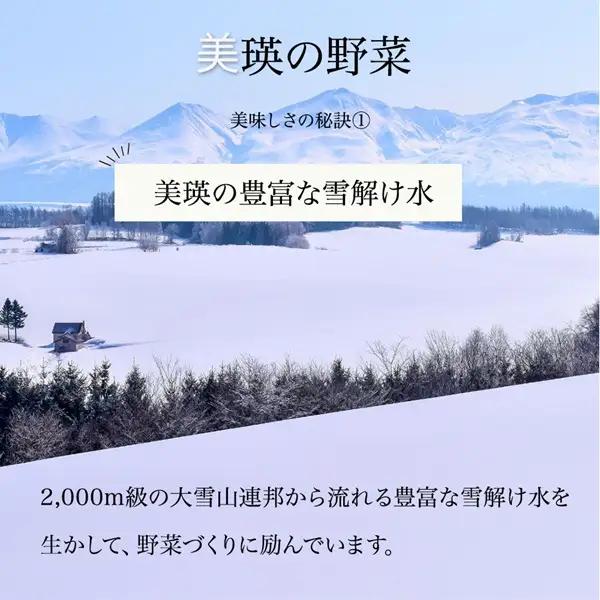 野菜セット 【令和9年産予約受付】 5回 定期便 美瑛の四季 鈴蘭（大） 野菜詰め合わせ