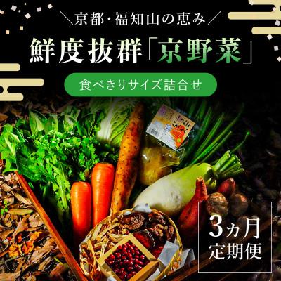 ふるさと納税 福知山市 【毎月定期便】鮮度抜群「京野菜」食べきりサイズ詰合せ(6〜7品目)【京都府福知山市】全3回