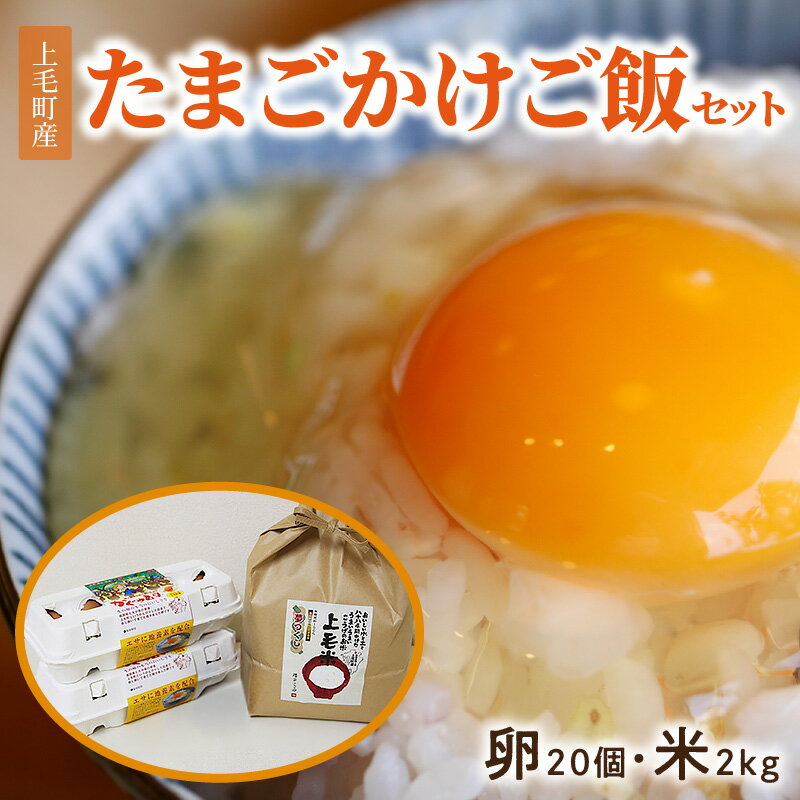 【ふるさと納税】上毛町産 たまごかけ ご飯 セット 卵 20個 米 2kg 専用醤油なし版 ブランド卵 かぐやひめ 生たまご 新鮮 鶏卵 放し飼い卵 お米 精米 ライス 国産 お取り寄せ グルメ お取り寄せグルメ 福岡県 上毛町 送料無料