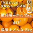 【ふるさと納税】創業百八年 愛媛みかんの老舗【みかん2kg+まどんな2kg】食べ比べセット【C70-36】【1536339】