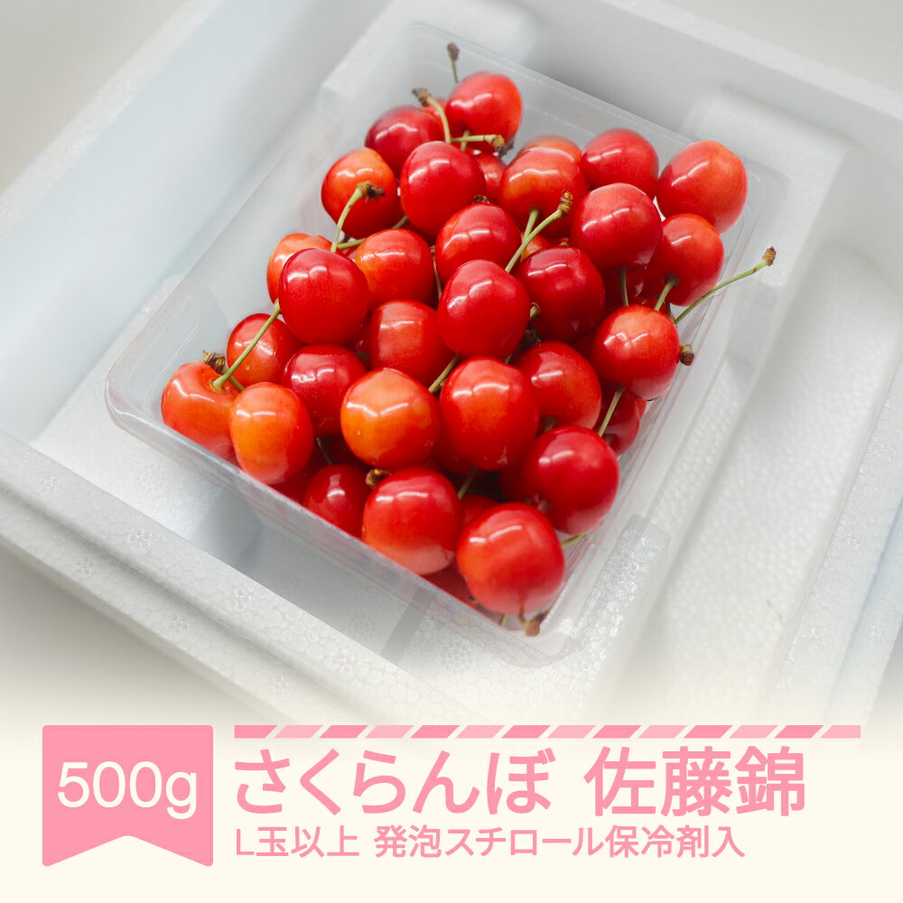 【ふるさと納税】【先行予約】さくらんぼ 佐藤錦 2026年産 令和8年産 500g L玉以上 発泡スチロール保冷剤入 送料無料 ※沖縄・離島への配送不可 mo-snhax500