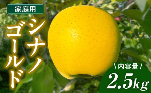 シナノゴールド 家庭用 りんご 2.5kg ＼12/24までの決済で 年内配送 可能／ 国産 東北 岩手 林檎 リンゴ 訳あり 果物 フルーツ しなの ゴールド 産地直送 送料無料 旬 秋 冬 金鈴園 岩手県 北上市 B0440