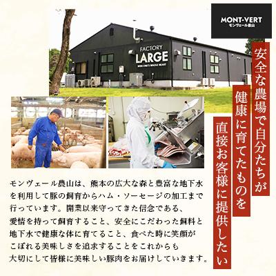 ふるさと納税 水俣市 熊本県産ドイツ製法自家製ハム・ソーセージおつまみセット |  | 02