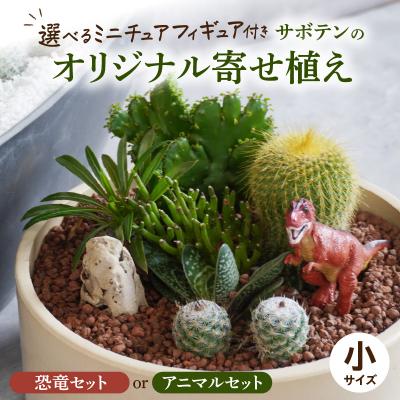 ふるさと納税 小牧市 サボテンのオリジナル寄せ植え(小)【恐竜セット】(観葉植物・多肉植物)[133O03-01]