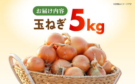 【先行予約】 玉ねぎ 5kg 【吉祥】[HDG003]