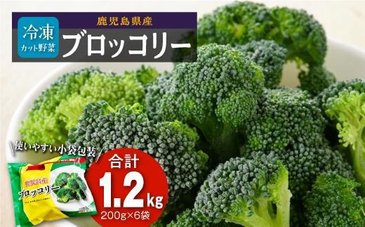 
            鹿児島県産 冷凍ブロッコリー 200g × 6パック 国産 ブロッコリー 冷凍 ふるさと納税 鹿児島県 大崎町
          