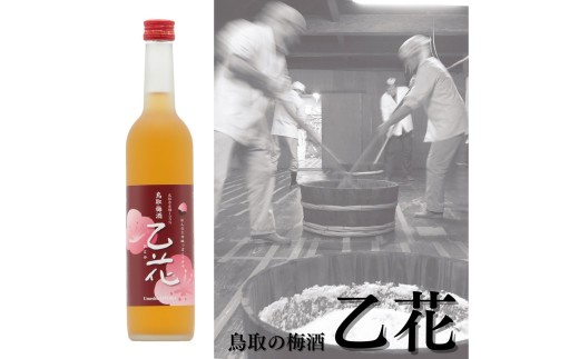 136MZ.鳥取の梅酒『乙花』