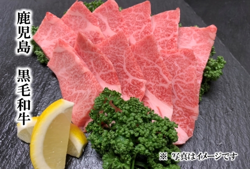 鹿児島県産黒毛和牛カルビ焼肉用<約300g>+牛すじだらけのカレーセット