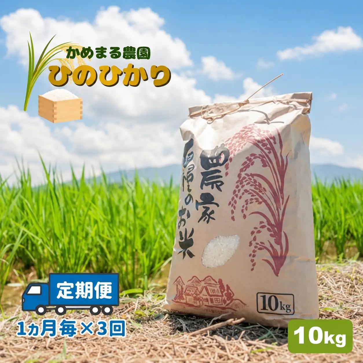 【定期便3回】 米 ひのひかり 10kg×3回 | かめまる農園
