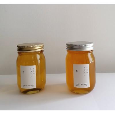 ふるさと納税 紀の川市 生はちみつ　540gセット