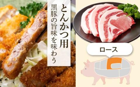 特選黒豚焼肉・トンカツ・焼豚２個セット