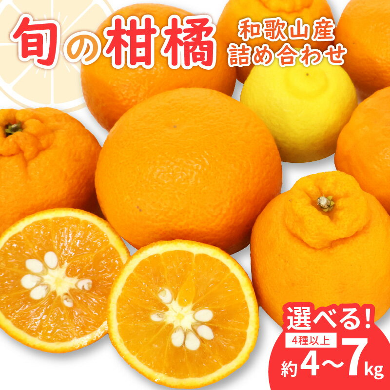 【ふるさと納税】柑橘詰め合わせセット 家庭用4種以上 和歌山産 約4kg 約7kg≪先行予約2026年1月下旬頃より順次発送分≫