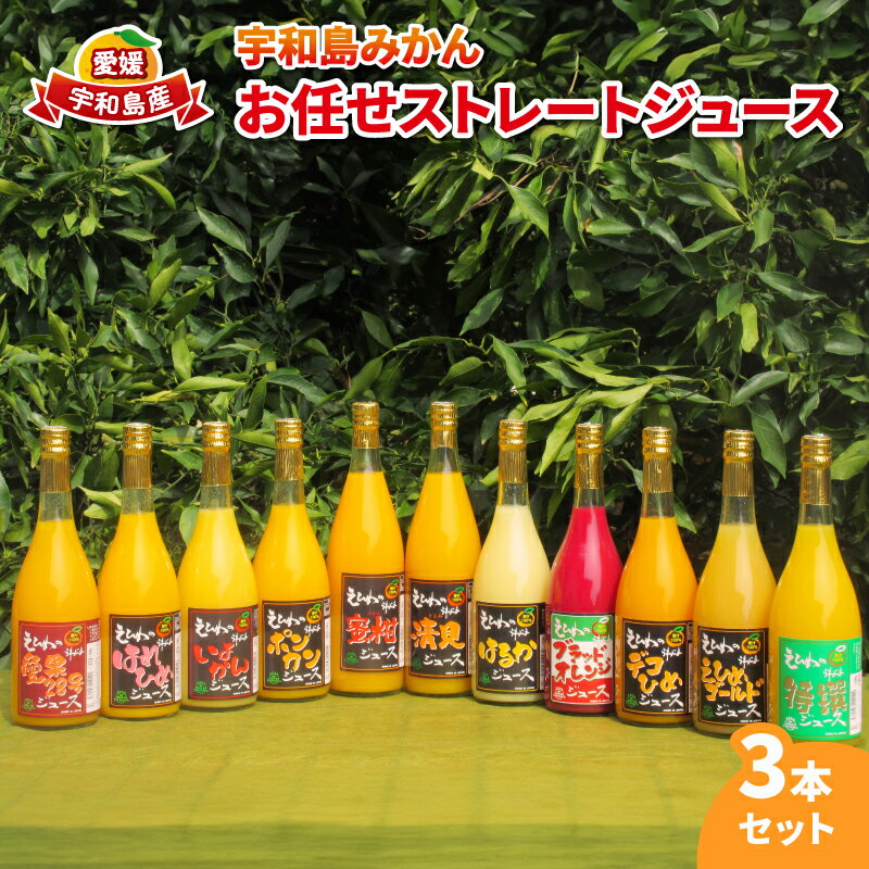 【ふるさと納税】 みかんジュース 宇和島みかん 先行予約 お任せ ストレート ジュース 3本セット ワールドファーマーズ 果汁 飲料 柑橘 みかん 蜜柑 mikan 愛媛みかん みかんジュース 100%ジュース 果物 くだもの フルーツ 産地直送 数量限定 国産 愛媛 宇和島 H012-024016