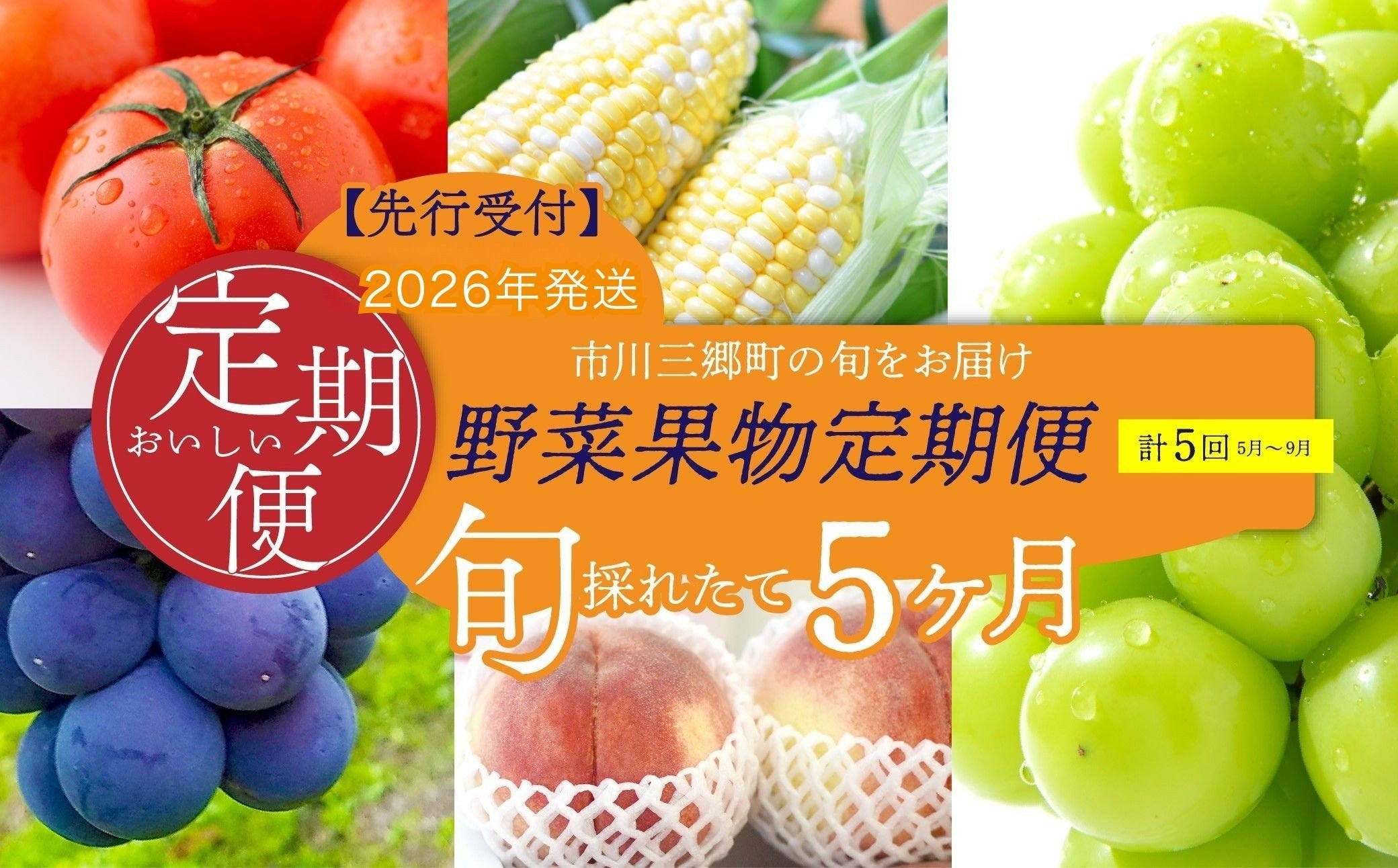 
                  【先行予約】市川三郷町の旬をお届け！野菜果物定期便 2026年発送 (計5回）[5839-1981]
                