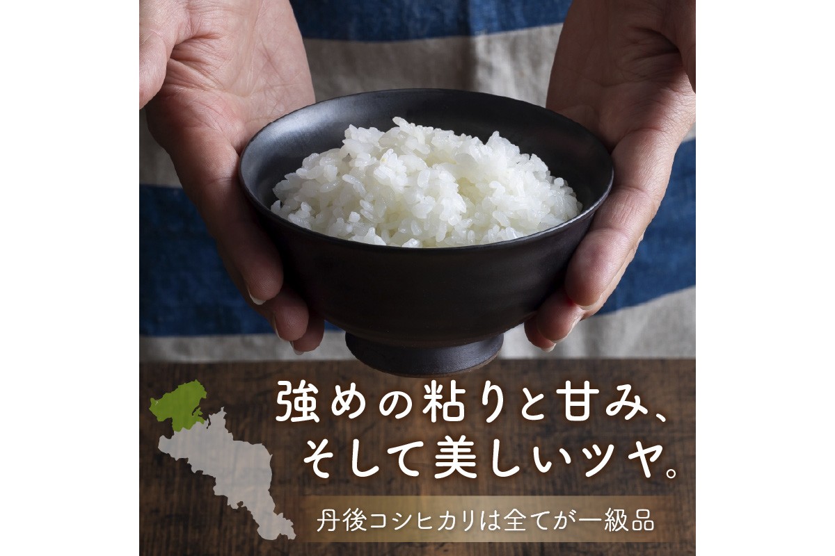 旬の野菜 5〜8種詰め合わせと京都・京丹後産コシヒカリ2kgセット 国産 新鮮 お試し おまかせ お楽しみ　京野菜　朝採れ 季節の野菜 食品 お取り寄せ　お米 ごはん ご飯 こしひかり おにぎり 白米