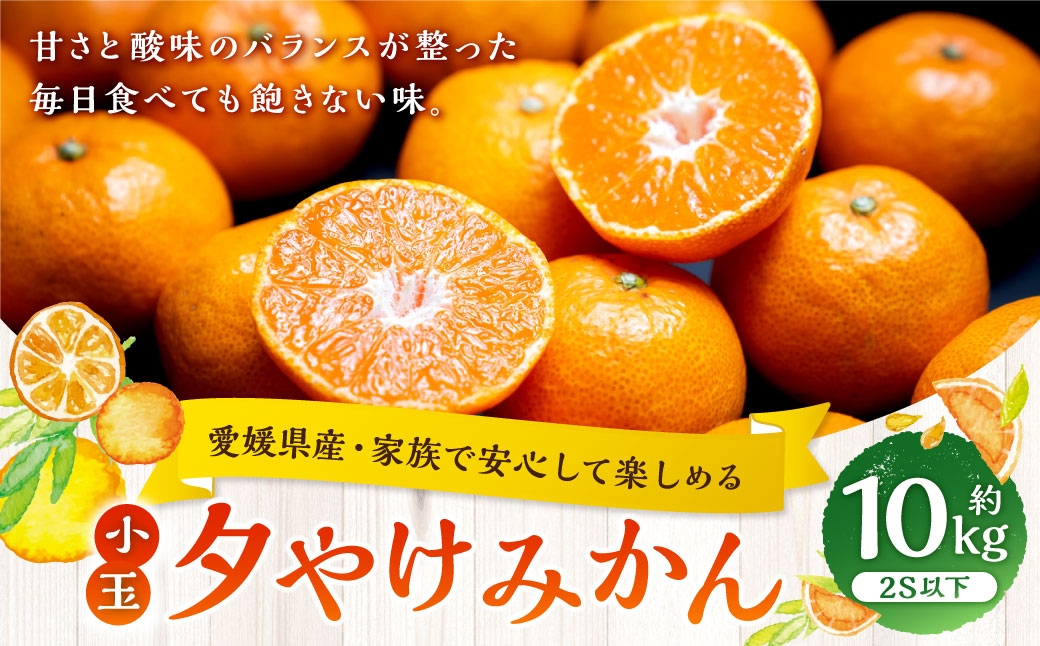 
                  【 家族でたっぷり楽しめる、愛媛の小粒みかん 】 夕やけみかん （ 小玉 ） 約10kg みかん ミカン 柑橘 柑橘系 柑橘類 くだもの 果物 フルーツ 果実 果汁 果肉 国産 愛媛県産 【 2026年10月下旬-2027年1月下旬発送予定 】 ( 1108 )
                