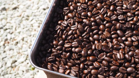 世界中から厳選した旬のコーヒー豆をお届け！ 産地お任せ　自家焙煎コーヒー　100g×4bag　豆