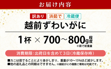 【訳あり】浜茹で 越前がに 約700～800g × 1杯（茹で前重量） 食べ方しおり付き【2月発送】【雄 ズワイガニ ずわいがに かに カニ 蟹 姿 ボイル 福井県】希望日指定可 備考欄に希望日をご記