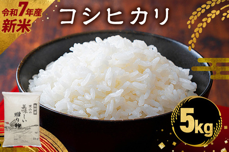 小西農産 令和7年産 コシヒカリ 5kg 米 KE-001