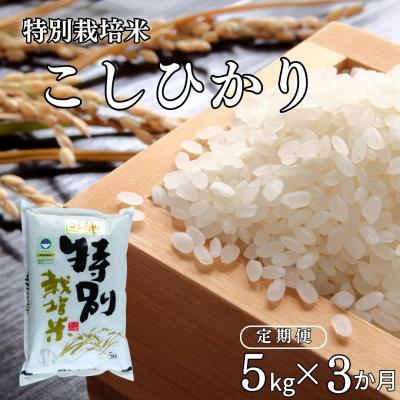 ふるさと納税 三条市 [定期便5kg×3ヶ月] 特別栽培米 コシヒカリ5kg 新潟県認証 令和7年産【027S014】