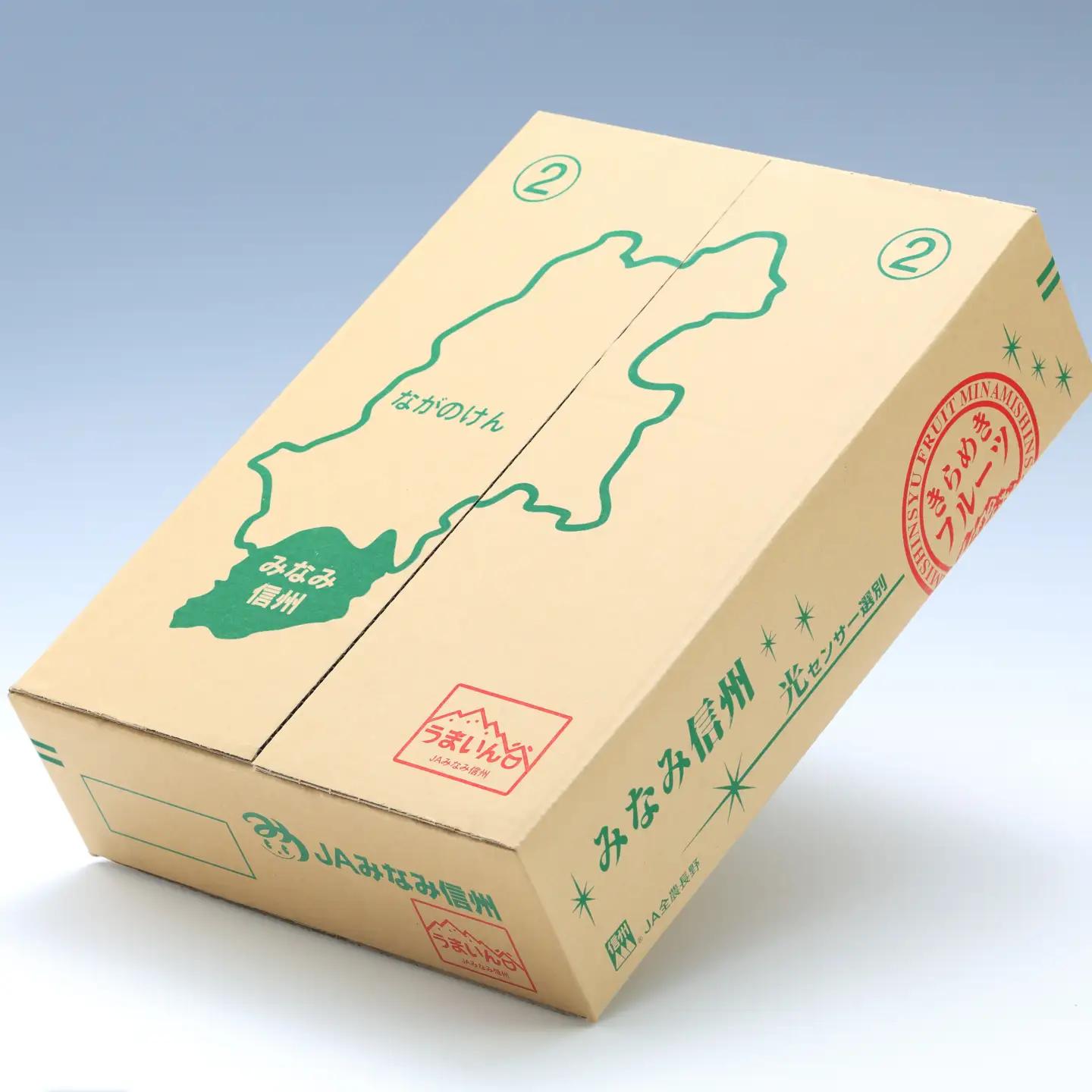 【南信州産】サンつがる 約5kg 秀品 ＜2026年8月下旬～順次発送＞ ＪＡみなみ信州ＤＭセンター飯田市