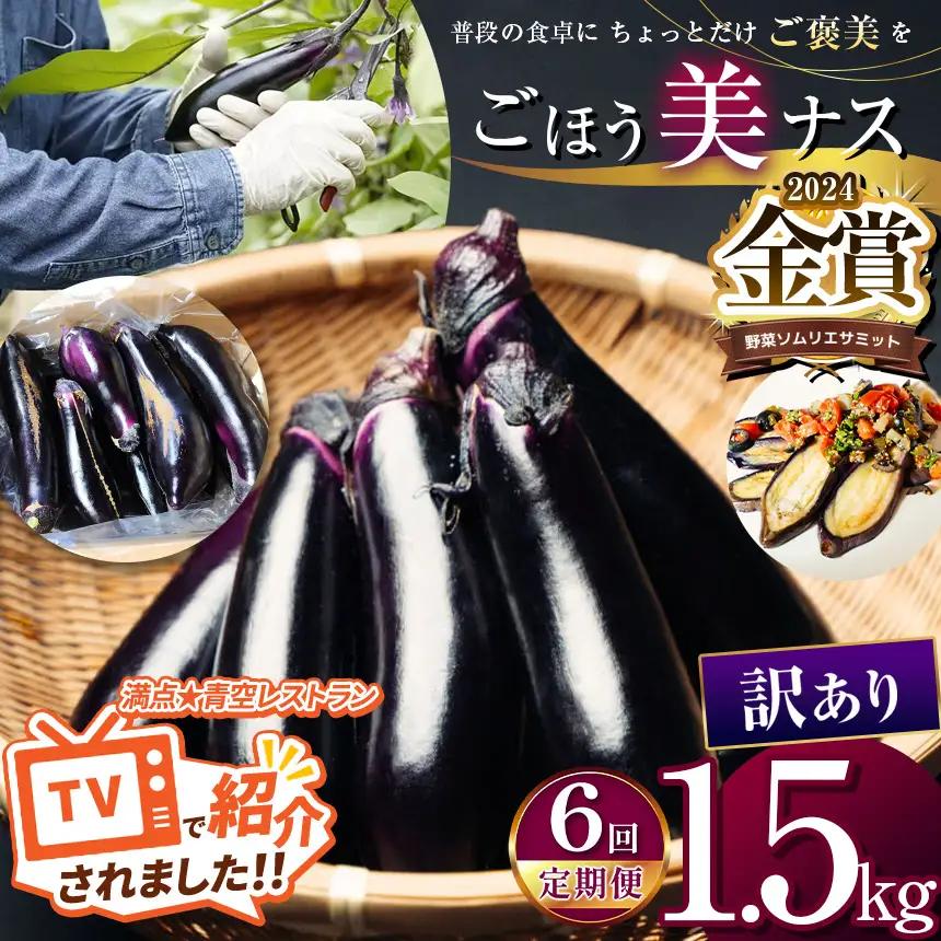 【定期便6回】農家さん応援！訳ありごほう美ナス 約1.5kg