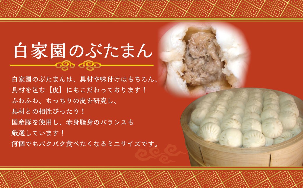 【贈答用】長崎ぶたまん 40個 ／ 中華 点心 惣菜 豚肉 豚まん 長崎県 長崎市