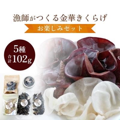 ふるさと納税 石巻市 漁師がつくる金華きくらげ(乾燥)お楽しみセット