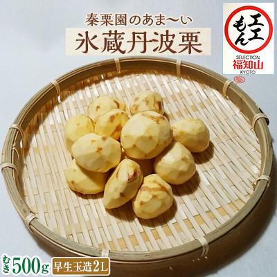 ふるさと納税 福知山市 秦栗園のあま〜い氷蔵丹波栗 早生玉造2L むき500g 大粒【熟成】10月中旬発送