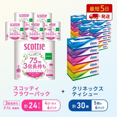 ふるさと納税 岩沼市 ティッシュ+トイレットペーパー無香料6P[No.5704-1786]