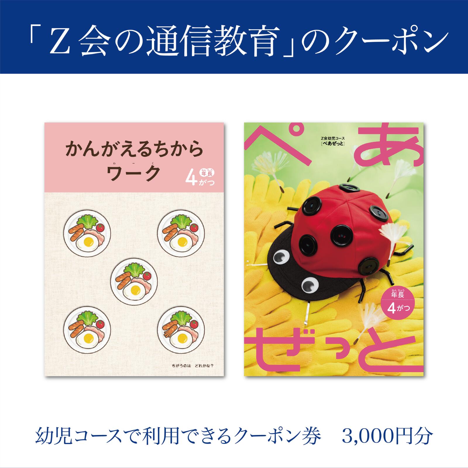 【ふるさと納税】 Z会 通信教育 クーポン 3000円分 幼児コース 教育 学習 通信 学び こども 幼児 教材 知育 早期教育 在宅学習 家庭学習 オンライン教育 デジタル学習 幼児教育 自宅学習 通信講座 通信教材 自宅教育 三島市 静岡県