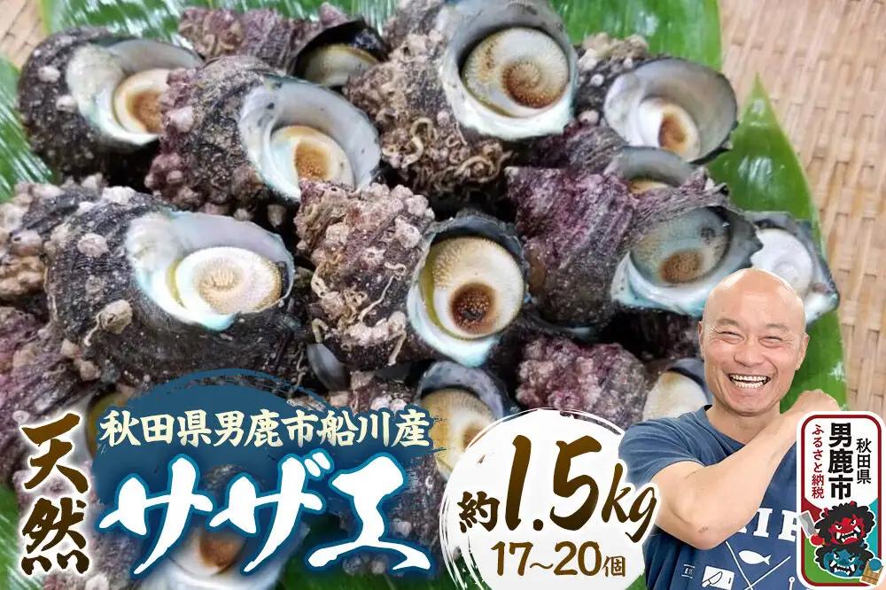 サザエ 約1.5kg 17個～20個前後入り 秋田県男鹿市 つりショップ海風