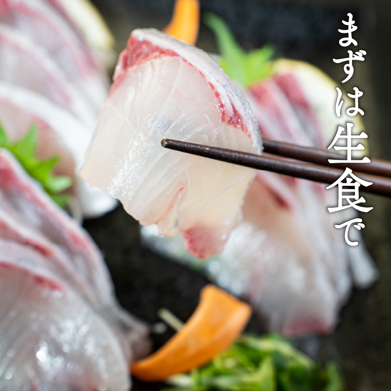 カンパチづくしセット 980g 勘八 かんぱち 漬け丼 タタキ たたき スライス ポン酢付き 刺身 海鮮 魚 冷凍 食べ比べ 詰め合わせ お取り寄せ 高知県 須崎産 国産 ご当地 真空パック しゃぶし