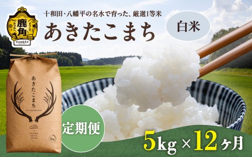 《 先行予約 》 【 定期便 】令和8年産 あきたこまち 精米 5kg × 12ヶ月 合計 60kg 【トライズ】 ●2026年10月下旬発送開始 米 精米 白米 単一原料米 国産米 ブランド米 白米 もっちり 県産米 お米 こめ コメ 秋田県 あきた 鹿角市 鹿角 送料無料