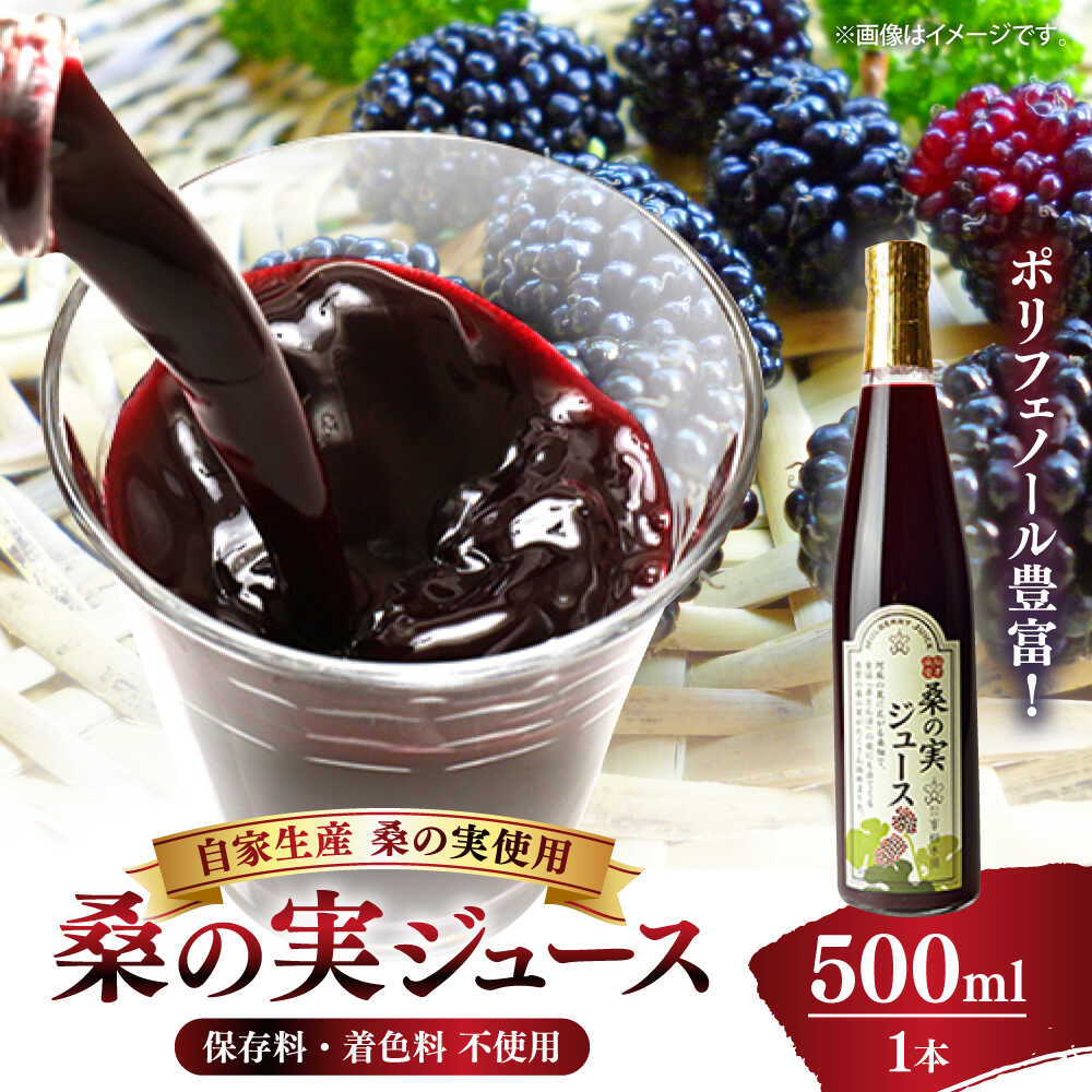 【ふるさと納税】峯樹木園 桑の実ジュース 500ml 【一般社団法人クラッシーノこうし】[AYAB016]