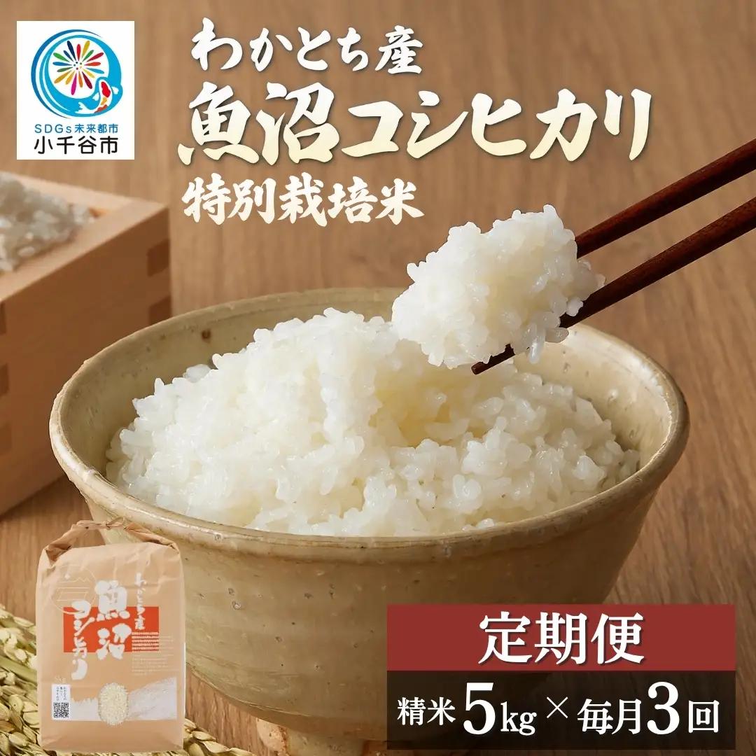 【3か月定期便 コシヒカリ】令和8年 魚沼産コシヒカリ 15kg（5キロ×毎月3回） Mt.ファームわかとち