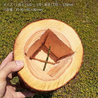 ふるさと納税 糸島市 《森の花束 nu》 ソロ(ドライフラワー入り 研き本体の単品) [AHF003] |  | 03