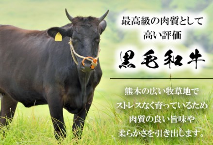 くまもと黒毛和牛 すき焼き肉 ロース切り落とし500g 《60日以内に出荷予定(土日祝除く)》 熊本県 長洲町 くまもと黒毛和牛 黒毛和牛 牛肉 肉 すき焼き 株式会社 羽根(出荷元：株式会社酒湊) 