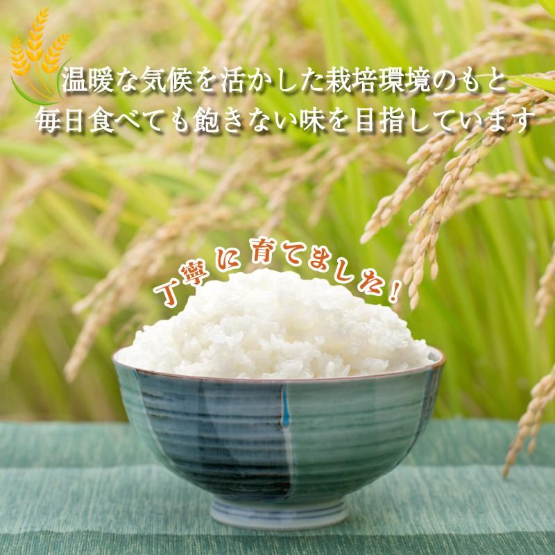 令和7年産 米 コシヒカリ 10kg 先行予約 2025年9月発送 新米 こしひかり 白米 精米 お米 農家直送 国産 徳島県 小松島市
