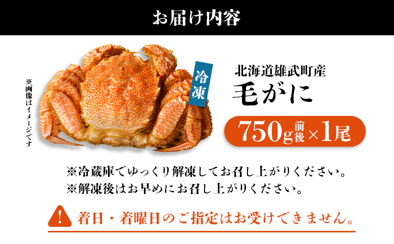 オホーツク産 オホーツク 毛がに 毛ガニ 毛蟹 蟹 カニ 750g 1尾 かに かにみそ カニみそ かに味噌 濃厚 北海道オホーツク産 海産物 海産 海鮮 魚介 魚貝 魚介類 冷凍 ふるさと納税 北海