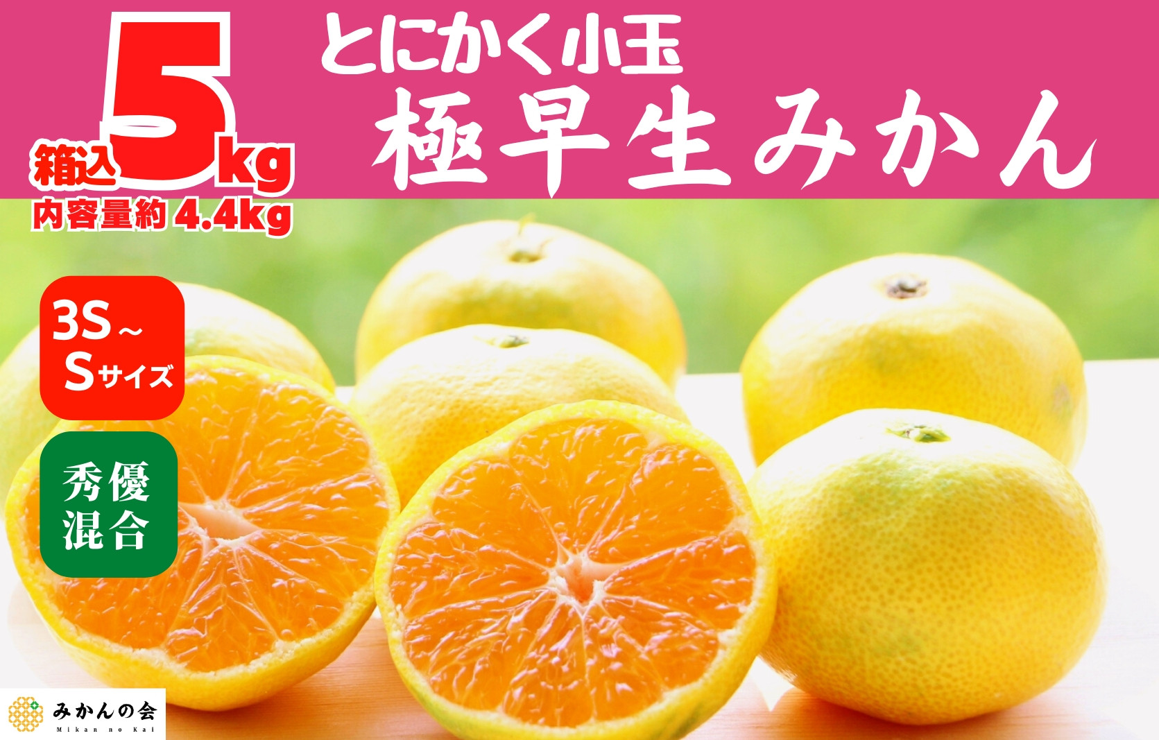 小玉みかん 極早生 箱込 5kg (内容量約 4.4kg) 3S～Sサイズ混合 秀品 優品 混合 有田みかん 和歌山県産 【みかんの会】［2026年10月上旬頃より順次発送予定］