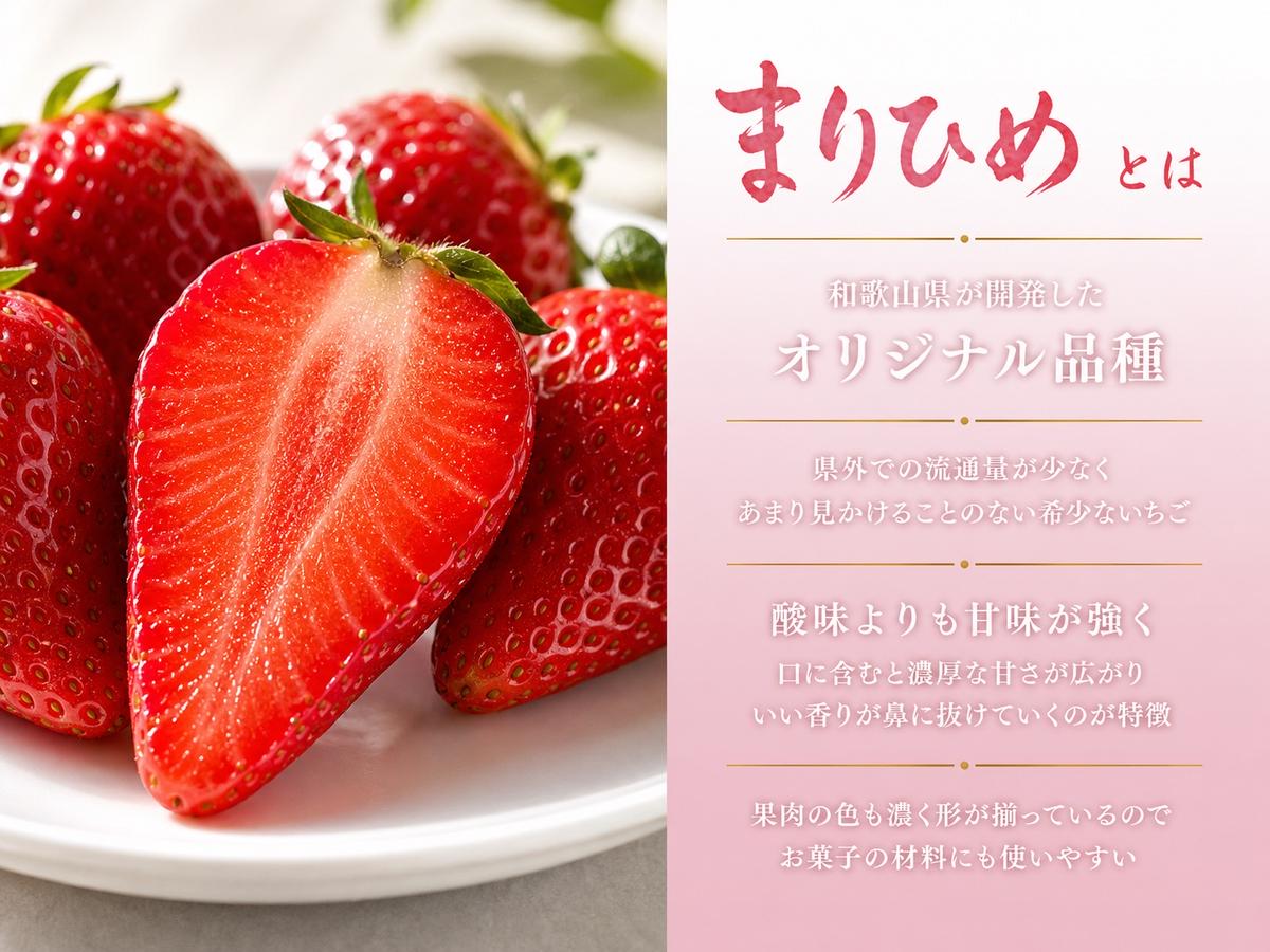 紀州和歌山ブランドいちご「まりひめ」約250g×4P いちご◇ ※2026年1月上旬〜3月上旬頃に順次発送予定