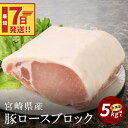 【ふるさと納税】【レビューキャンペーン対象】宮崎県産豚ロースブロック 5kg越え - 国産豚肉 トンテキ/豚の角煮/トンカツ/ポークソテー ブロック肉 塊肉 5キロ かたまり肉 ロース肉 小分け キメが細かく柔らかな肉質 赤身 脂身 スピード配送便 送料無料 【宮崎県木城町】