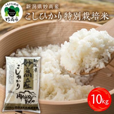 ふるさと納税 妙高市 【令和7年産】妙高産こしひかり特別栽培米10kg