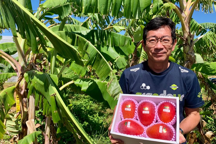 GZ002『天使のマンゴー』宮古島産アーウィンマンゴー 約1kg （3玉）【ご贈答用】「LA MANGUE BLEUE」農家直送