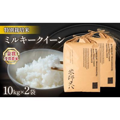 ふるさと納税 竜王町 令和7年産 ミルキークイーン 10kg×2袋 金賞受賞農家 若井農園 WN003