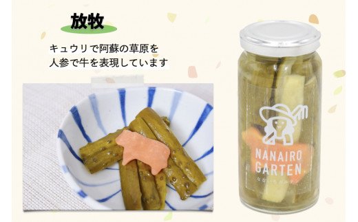 毎年大人気！阿蘇ピクルス5本セット  阿蘇ピクルス 5本 セット 5種 140g ピクルス 詰め合わせ ピーマン パプリカ 里芋 きゅうり 胡瓜 アイコトマト 大根 ギフト 贈答用 熊本 阿蘇 南小国