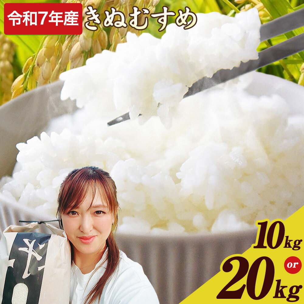 【ふるさと納税】白米 令和7年産 きぬむすめ 選べる 10kg (5kg×2) 20kg (10kg×2) 前田農園 《10月末-1月末頃出荷》 和歌山県 紀の川市 米 新米